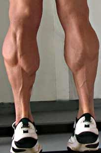 Calf Muscles – Pathology, Strain, Muscular Calves, Leg Muscle, Ready To Receive, Muscular Legs, Authentic Life, Beefy Men, Living Books, Leg Muscles, Calf Muscles