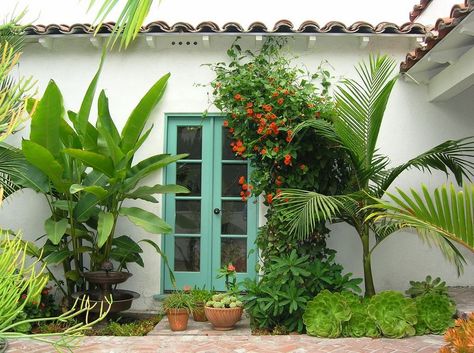 color of door,  white walls, minimalist greenery Tropical landscaping in a Los Angeles yard Plants For Small Gardens, Tropical Landscape Design, Tropical Garden Design, Tropical Backyard, Landscape Design Plans, Tropical Landscaping, Landscaping With Rocks, Ideas Pictures, Door Color