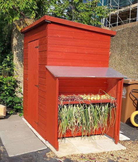 Allotment Shed Ideas, Onion Drying Rack, Allotment Ideas Inspiration, Allotment Inspiration, Allotment Plan, Allotment Shed, Small Shed Plans, Allotment Ideas, Garden Tools Diy