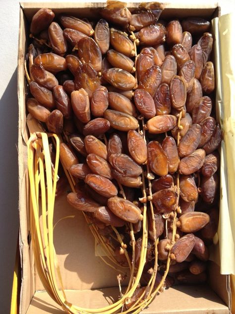 DEGLET NOOR DATES Deglet Noor Dates, Date Plant, Vine And Branches, Dried Figs, Dates, Almond, The Originals, High Quality