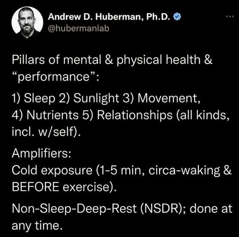 Huberman Lab, Pillars Of Health, Andrew Huberman, 5 Pillars, Gut Brain, Sounds Good To Me, Personal Improvement, Wellness Inspiration, Healthy Lifestyle Inspiration