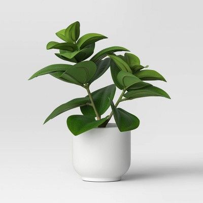 Order confirmation : Target Plant Decor For Bedroom, Green Fake Plants, Plants For Bedroom Decoration, Room Decor Plants Bedrooms, Amazon Plant Must Haves, Cute Fake Plants, Cool Girl Bedroom, Modern House Plants, Plants For Room