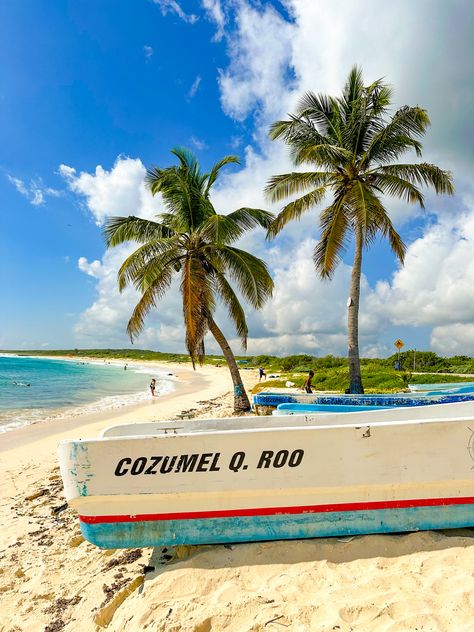 28 Fun Things To Do in Cozumel, Mexico - Traveling with Aga Things To Do In Cozumel, Pearl Farm, Cozumel Mexico, Mayan Ruins, Cozumel, Boat Tours, Mexico Travel, Plan Your Trip, Cruise Ship