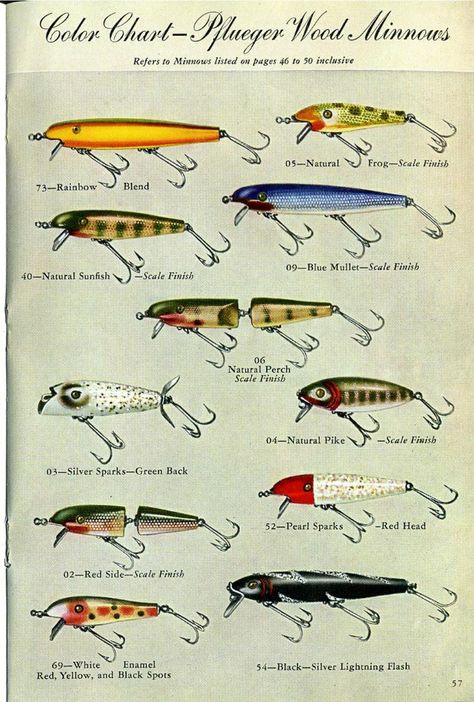 Fishing Lure Art, Fishing Lure Decor, Vintage Lures, Vintage Fly Fishing, Fishing Lures Display, Bass Fishing Pictures, Fishing Lures Art, Vintage Fishing Ads, Vintage Fishing Flies