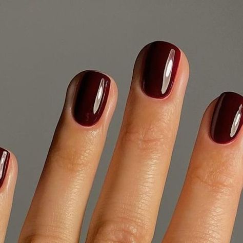 woman&home on Instagram: "From autumns most beloved nail colour, hello burgundy, to fudge-toned brown, these are the manicures we've been loving lately.

Whether you opt for a traditional autumn nail colour such as a warm plum, or make a statement with tortoiseshell nail art, these nail ideas are sure to turn heads this season. 

Images via @gel.bymegan & @matejanova

#autumnnails #fallnails #burgundynails #nailart" Autumnal Nails Burgundy, Brown Purple Nails, Plum Brown Nails, Warm Autumn Nails, Burgundy Autumn Nails, Purple Brown Nails, Reddish Brown Nails, Warm Tone Nails, Plum Gel Nails