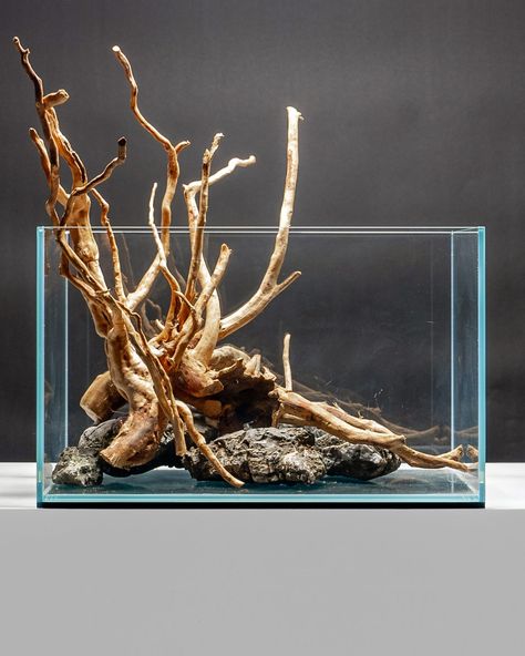 What would you rate this hardscape layout (1-10)? We created this hardscape layout for a UNS 5N using Spiderwood and Rhino Stone. The wood… | Instagram Spiderwood Aquascape, Hardscape Design, Wood Structure, Aquascaping, Super Glue, Monterey, Fish Tank, Tissue Paper, The Back