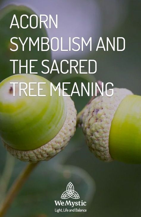 Spiritual Meaning Of Acorns, Acorn Spiritual Meaning, Acorn Uses, Acorn Symbolism, Oak Tree Quotes, Acorn Magic, Acorn Meaning, Mabon Ideas, Acorns Crafts