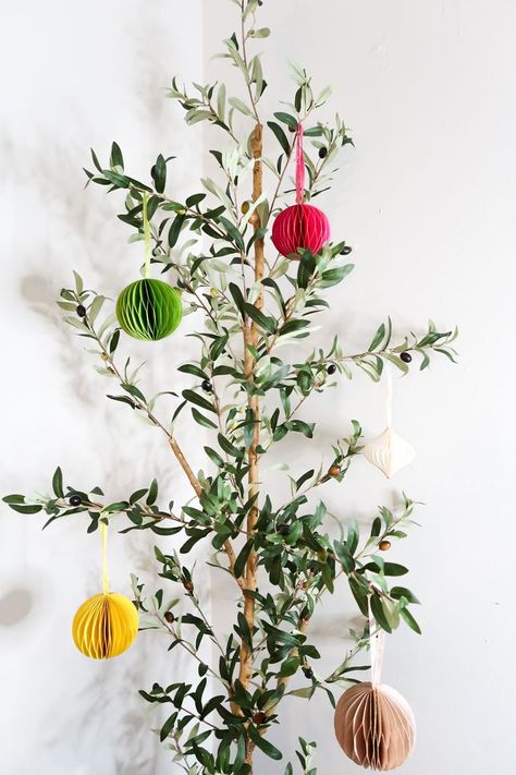 Get into the spirit and add a touch of the holiday to your olive tree! #olivetree Christmas Olive Tree, Olive Tree Christmas, Dream Salon, Sleigh Bell, Store Window, Christmas Store, Nearly Natural, Christmas 2023, Olive Tree