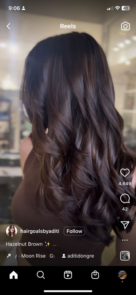 Balayage, Hazelnut Highlights, Hazelnut Balayage, Curly Hair Videos, Chocolate Brown Hair, Brunette Color, Brown Hair With Highlights, Hair Inspo Color, Brunettes