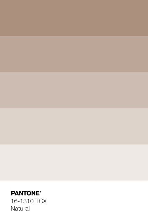 Pantone Metallic Shimmers, Mixing Primary Colors, Nude Color Palette, Pantone Palette, Beige Color Palette, Color Pantone, Weathered Teak, Pantone Colour Palettes, Fall Color Palette