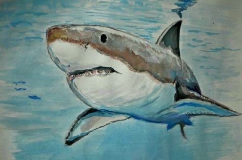 Shark Drawing Color Pencil, Shark Oil Pastel, Shark Drawing Color, Watercolour Shark, Shark Watercolor, Watercolor Painting Easy, Movie Illustration, Shark Painting, Beach Mural