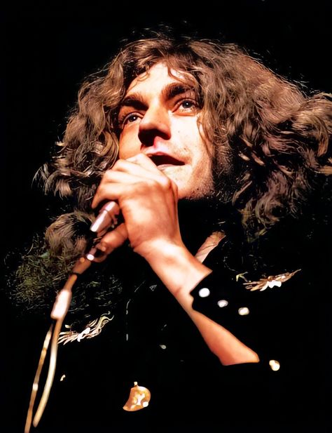 Zed Leppelin, Rock Musicians, Robert Plant Led Zeppelin, Jimmy Johns, John Paul Jones, John Bonham, Led Zep, Royal Albert Hall, Robert Plant