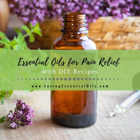 Oils For Pain Relief, Juniper Essential Oil, Juniper Berry Essential Oil, Helichrysum Essential Oil, Diy Essential Oil Recipes, Essential Oils For Pain, Essential Oils For Massage, Clary Sage Essential Oil, Diy Aromatherapy