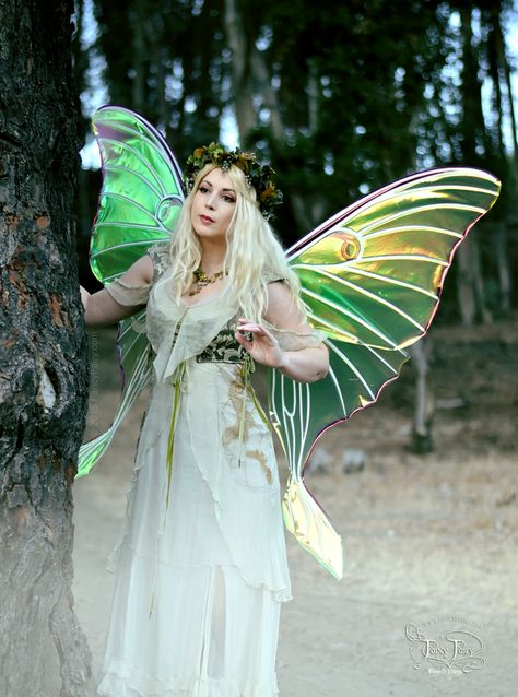 Iridescent Fairy Wings, Iridescent Fairy, On The Wings Of Love, Fire Fairy, Lunar Moth, Fairy Cosplay, Moth Wings, Vs Fashion Shows, Fairy Queen