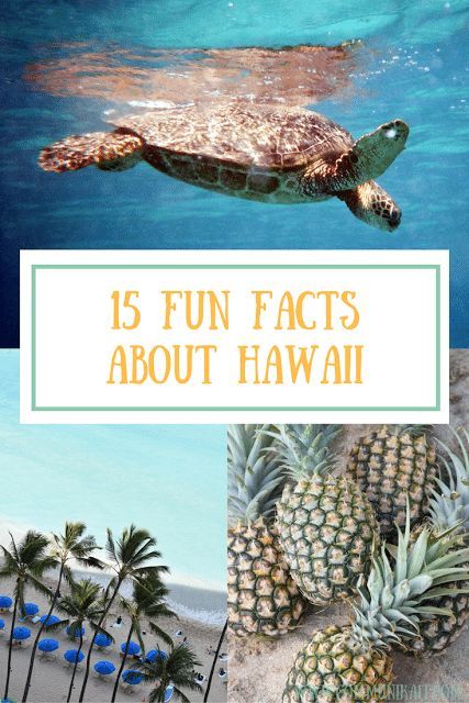 15 Fun Facts About Hawaii - Oahu, Kauai, Hawaii, Molokai, Lanai, Maui Facts About Hawaii, Hawaii Ideas, Vacation In Mexico, Cousin Camp, Hawaii Theme, Travel Hawaii, Hawaii Destinations, Hawaii Travel Guide, Armchair Travel