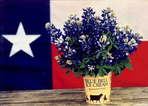 TX flag. Blue Bell Ice Cream. Bluebonnet Flowers. Totally Texas Projd! Shes Like Texas, Texas Party, Blue Bell Ice Cream, Texas Theme, Only In Texas, Texas Life, Texas Places, Texas Forever, Texas Bluebonnets