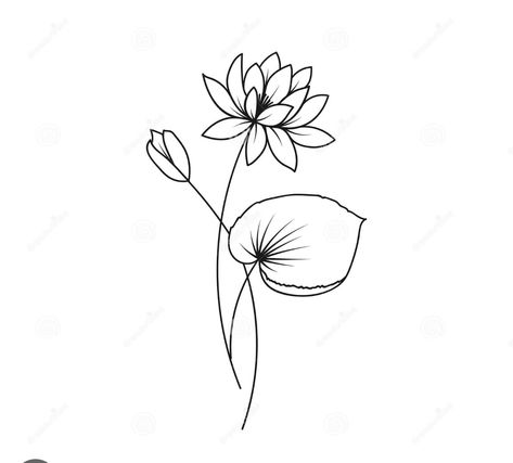 Water Lily Small Tattoo, Water Lily Minimalist Tattoo, Waterlily Drawing Tattoos, Lotus Flower Lilly Pad Tattoo, Water Lily With Stem Tattoo, Easy Water Lily Drawing, Tattoo Ideas Water Lily, Waterlily Drawing Simple, Water Lily Drawing Tattoo Ideas