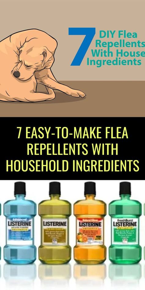 Homemade Flea Killer, Homemade Flea Shampoo, Natural Flea Killer, Flea Spray For House, Flea Powder For Dogs, Tick Repellent For Dogs, Kill Fleas On Dogs, Homemade Flea Spray, Flea Spray For Dogs