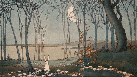 Velveteen Rabbit, Computer Backgrounds, Arte Inspo, Illustration Vintage, Arte Sketchbook, Art Et Illustration, Art And Illustration, Computer Wallpaper, White Rabbit