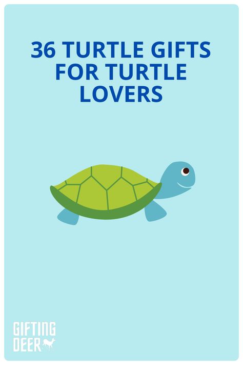 Best Turtle Gifts for the Turtle Lover in Your Life Turtle Gift Ideas, Sea Turtle Gifts, Turtle Theme, Latest Tech Gadgets, Turtle Dove, Secret Sisters, Turtle Gifts, Birthday Gifts For Teens, Cute Turtles