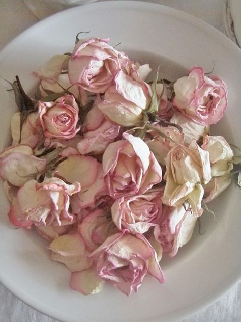 * Pink Tea Party, Drying Roses, Cottage Rose, Cabin Cottage, Deco Rose, Romantic Country, Pink Tea, All I Ever Wanted, Romantic Roses