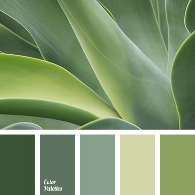 chlorine, chlorine color, cold shades of green, color matching, dark green, green monochrome color palette, green shades, green-gray, monochrome сolor palette, mossy. Colourful Combinations, Bathroom Colors Gray, Flat Bedroom, In Color Balance, Green Monochrome, Monochrome Color Palette, Room Dark, Color Palette Ideas, Palette Design