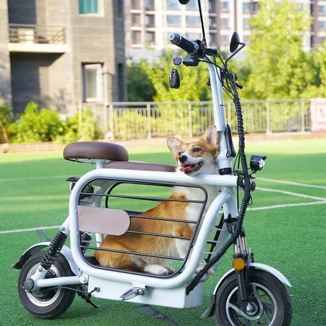 meet mopet: a foldable e-scooter to take your dog for a ride Moped Bike, Scooter Custom, Cat Tower, Older Dogs, E Scooter, Dog Carrier, Pet Safe, Pet Carriers, E Bike