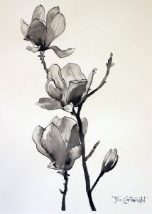 Pen and ink drawing of Magnolias Pen And Ink Techniques, Ink Techniques, Black Ink Art, China Ink, Pen And Wash, Tinta China, White Drawing, Ink Wash, India Ink