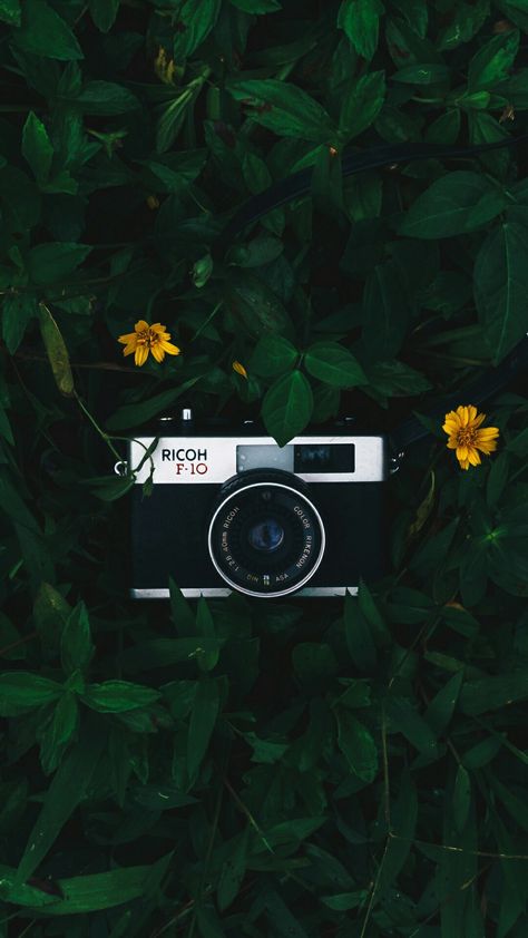 Authentic Aesthetic Vintage, Camera Wallpaper Aesthetic, Camera Lens Wallpaper, Camera Wallpaper Photographers, Camera Wallpaper Iphone, Camera Aesthetic Wallpaper, Photography Phone Wallpaper, Photographer Wallpaper, Technology Drawing