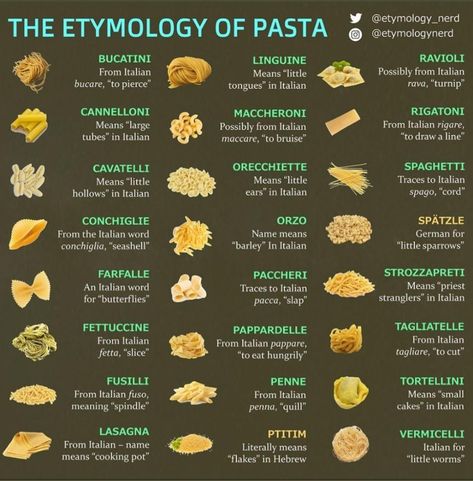 Pasta index - Album on Imgur Types Of Pasta, Pasta Types, Culinary Techniques, Food Infographic, Cooking 101, Food Info, Food Names, Cooking Basics, Food Facts