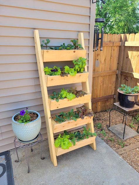 Greenstalk Vertical Planter Ideas, Garden Tower Diy Vertical Planter, Diy Vertical Strawberry Planter, Standing Herb Garden Vertical Planter, Pallet Board Plant Stand, Vegetable Planter Boxes, Raised Planter Boxes Plans, Vertical Planter Box, Balcony Planter Boxes