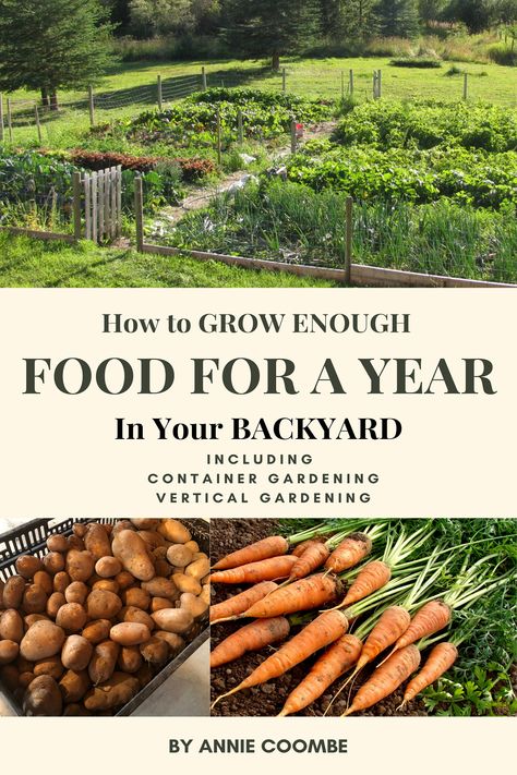 Food For A Year, Small Backyard Design Layout, Small Backyard Design Ideas, Backyard Design Ideas, Backyard Design Layout, Homestead Gardens, Garden Wallpaper, Veg Garden, Backyard Farming