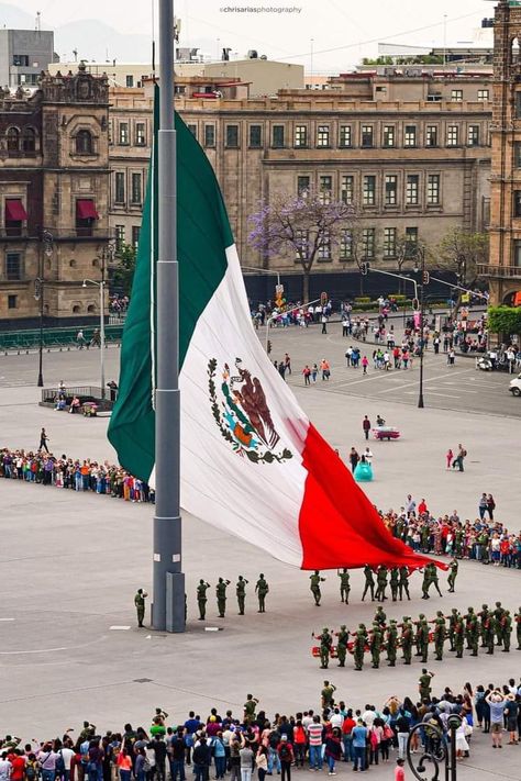 Mexican Flag Eagle, Mexico Wallpaper, Hispanic Aesthetic, Mexican Artwork, Mexican Culture Art, Brown Pride, Mexican Heritage, Mexican Flag, Mexican Flags