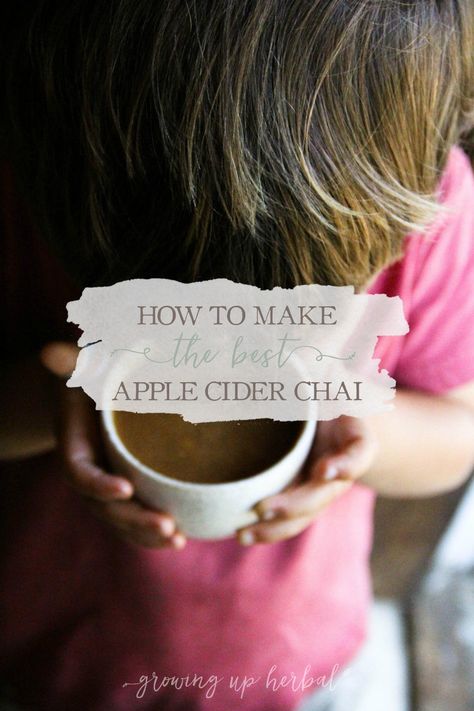 Warm up cold fall days with a cup of homemade apple cider chai. Not only will it warm your belly, fingers, and toes, but it will make your taste buds happy! Apple Cider Chai, Jun Kombucha, Switchel Recipe, Cold Weather Drinks, Cooking With Toddlers, Best Apple Cider, Indian Chai, Homemade Apple Cider, Apple Varieties