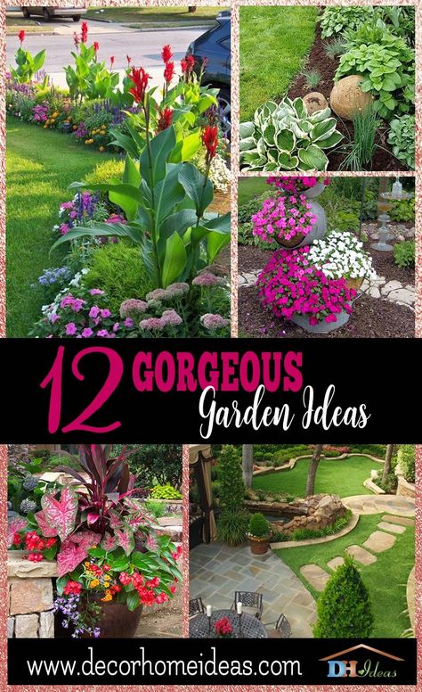 Backyard Flowers Garden, Backyard Flowers, Traditional Garden, Front Yard Garden, Olive Garden, Gorgeous Gardens, Desert Landscaping, Diy Patio, Lawn And Garden