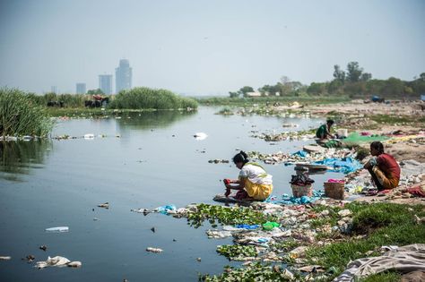 Scientists and activists in India are training citizens to collect information on water issues like contamination — and upload it so it can be used to push for change. Water Contamination, Water Issues, Water Scarcity, Water In The Morning, Contaminated Water, Water And Sanitation, Safe Drinking Water, Water Pollution, World Water