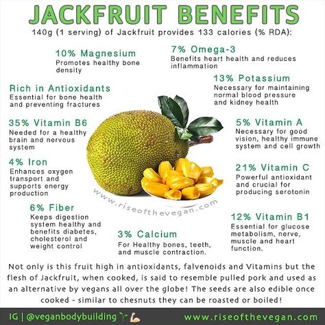 Have you tried jackfruit yet? Jack fruit is the largest fruit in the world weighing from 3 to 30 kg and has oblong or round shape measuring 10cm to 60cm in length 25 to 75cm in diameter! Each tree bears up to 250 jackfruits. It is a rich source of energy dietary fiber minerals and vitamins and free from saturated fats or cholesterol making it a healthy summer treat .  Many vegans around the world choose to harvest and cook the young green jackfruit as an alternative to pulled pork .  Health ... Benefits Of Jackfruit, Jackfruit Benefits, Sheet Pan Roasted Vegetables, Pan Roasted Vegetables, Calendula Benefits, Fruit Health Benefits, Magnesium Benefits, Coconut Health Benefits, Benefits Of Coconut Oil