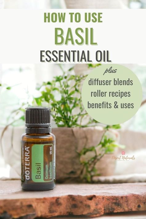 Learn how to use Basil essential oil, plus the Benefits and over 30 Uses, diffuser blends, roller ball recipes, cooking recipes and more.  Find out the emotional and spiritual benefits of basil essential oil in addition to how it can benefits your physical body, hair and skin.  Basil is an underrated herbaceous essential oil that has many powerful benefits.  Click for the full essential oil spotlight. Roller Ball Recipes, Uses For Basil, Benefits Of Basil, Doterra Diffuser Blends, Ball Recipes, Basil Essential Oil, Rosemary Oil For Hair, Basil Oil, Basil Recipes