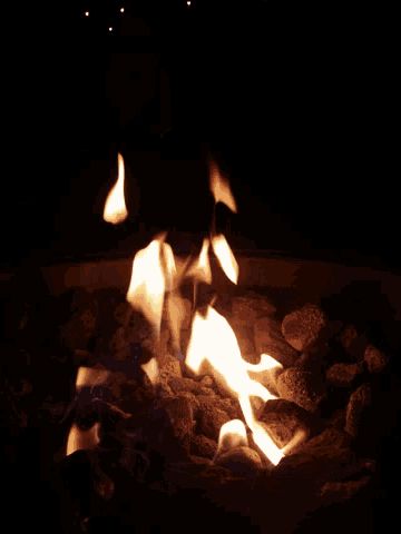 Bonfire Campfire GIF - Bonfire Campfire Flames - Discover & Share GIFs Campfire Gif, Aesthetic Gif, Campfire, Animated Gif, Cool Gifs, Gif, Quick Saves, Art