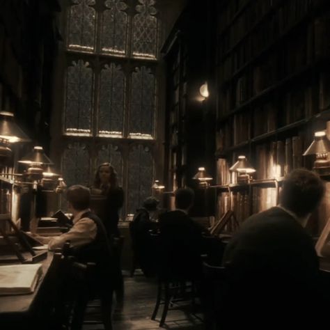 Hogwarts Student Aesthetic, Hogwarts Grounds, Hogwarts Library, Walburga Black, Hogwarts Dr, Chaotic Academia, Old Library, Library Aesthetic, Hogwarts Aesthetic