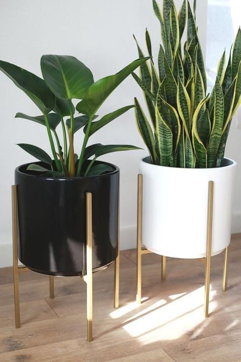 Pinterest @muahtinaaxo Mid Century Modern Plants, Kaktus Dan Sukulen, Mid Century Modern Planter, Gold Planter, Modern Planter, نباتات منزلية, Living Room Plants, Metal Plant Stand, Diy Plant Stand