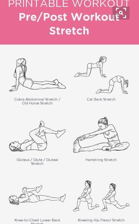 Beginner Female Gym Workout, Female Gym Workout, Gym Routine For Beginners Workout Plans, Weekly Gym Workouts, Beginners Gym Workout Plan, Workout Stretches, Gym Workout Plan, Female Gym, Workout Gym Routine