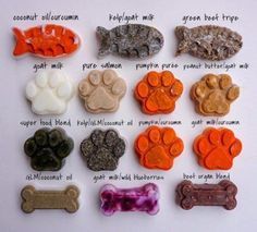 Raw Dog Food Diet, Pet Treats Recipes, Easy Dog Treat Recipes, Frozen Dog Treats, Easy Dog Treats, Healthy Dog Treats Homemade, Dog Treats Homemade Recipes, Frozen Dog, Diy Dog Treats