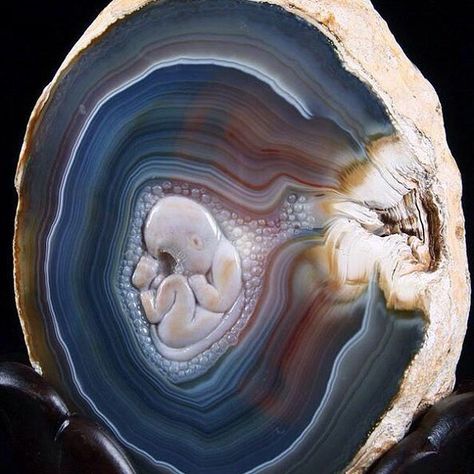 Baby Sculpture, Gemstone Art, Crystal Geode, Beautiful Rocks, Mineral Stone, Minerals And Gemstones, Rocks And Gems, Gems And Minerals, Stone Carving