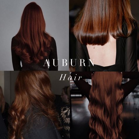 Warm toned hair inspiration from the Spring and Autumn palettes 🤍 . #coloranalysis #colouranalysis #autumnpalette #springpalette #coloranalyst Balayage, Best Hair Color For Autumn Skin Tone, Dark Hair Colors With Highlights, Hair Colour For Autumn Skin Tone, Hair For Deep Autumn, Brown Hair With Violet Undertones, Hair Colors For Deep Autumn, Dark Autumn Color Palette Hair, Autumn Hair 2024