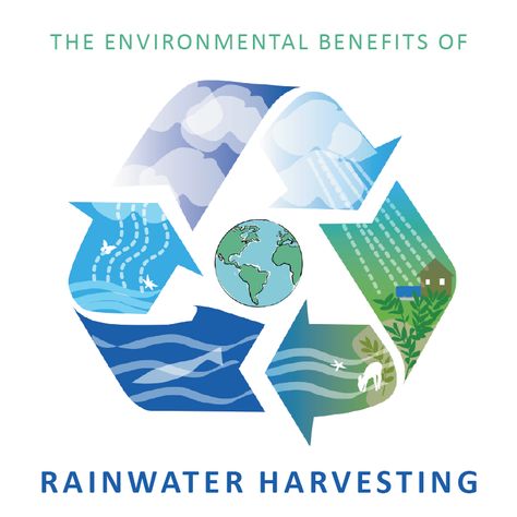 ⁠Rainwater harvesting is great for the environment, let us count the ways for you: https://www.bluebarrelsystems.com/blog/environmental-benefits-of-rainwater-harvesting/⁠ ⁠ #rainwaterharvesting #rainwatercatchment #rainbarrels #earthdayeveryday #sustainability #waterwise #savewater Cycle Infographic, Rain Water Harvesting, Rainwater Collection, Water Catchment, Rain Harvesting, Water Harvesting, Rain Barrels, Rain Water Tank, Water Grass