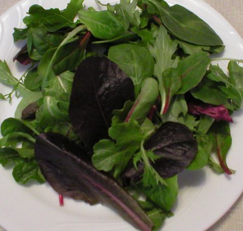 Recipes With Spring Mix Lettuce, Spring Mix Recipes Not Salad, Recipes Using Spring Mix Salad, Spring Mix Recipes, Mixed Greens Recipe, Spring Mix Salad Recipes, Mix Salad, Lettuce Recipes, Wilted Lettuce