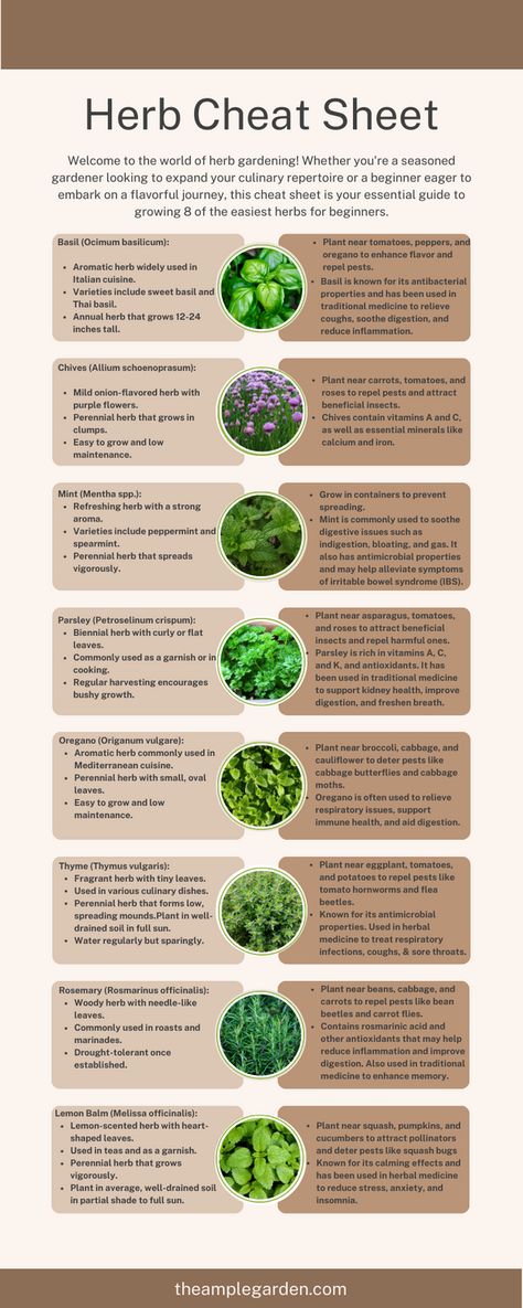 🌿 Discover the joy of herb gardening for beginners! 🌱 Whether you're a seasoned gardener or just starting out, this guide has everything you need to grow 8 easy-to-care-for herbs. From aromatic basil to soothing mint, learn how to cultivate a thriving herb garden right at home! #HerbGardening #Beginners #GardeningTips 🌱🌿 Herbs To Plant With Vegetables, How To Grow Peppermint, Outside Herb Garden Ideas, Home Food Garden, Gardening Herbs For Beginners, Herb Care Guide, Beginners Guide To Gardening, Beginner Medicinal Herb Garden, How To Grow Herbs Outdoors