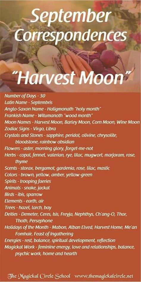 Monthly Correspondences, Full Moon Names, Corn Moon, Moon Zodiac, Moon Names, Moon Meaning, Moon Spells, Month Of September, Full Moon Ritual