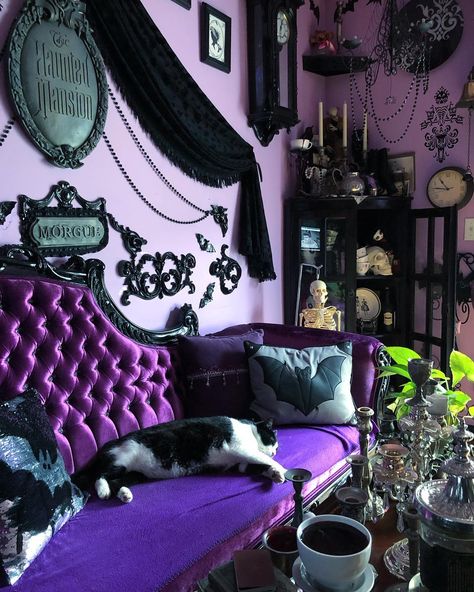 Queenie Black on Instagram: “Cat in the Bat room. Mr Meow’s room of choice to sloth in  is the Purple Parlor. He’s a big healthy boy resting all day so he can roam all…” Goth Daybed, Red Goth Room, Dracula Bedroom, Goth Living Room Decor, Haunt Furniture, Black And Red Room Aesthetic, Red And Black Living Room, Goth Room Ideas, Vampire Room